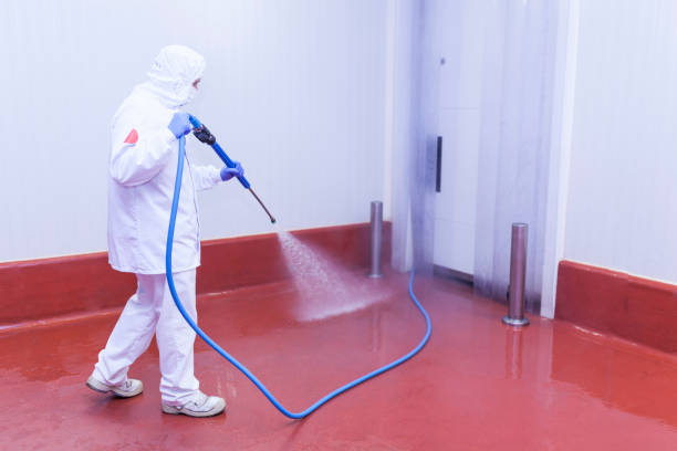 Best Playground Equipment Cleaning  in Waldo, FL