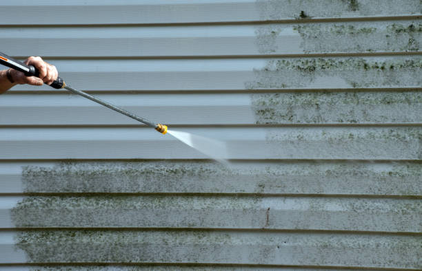 Best Patio and Deck Pressure Washing  in Waldo, FL